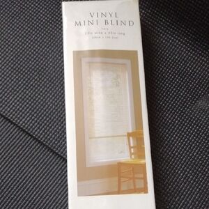 Vinyl Mini Blind in White